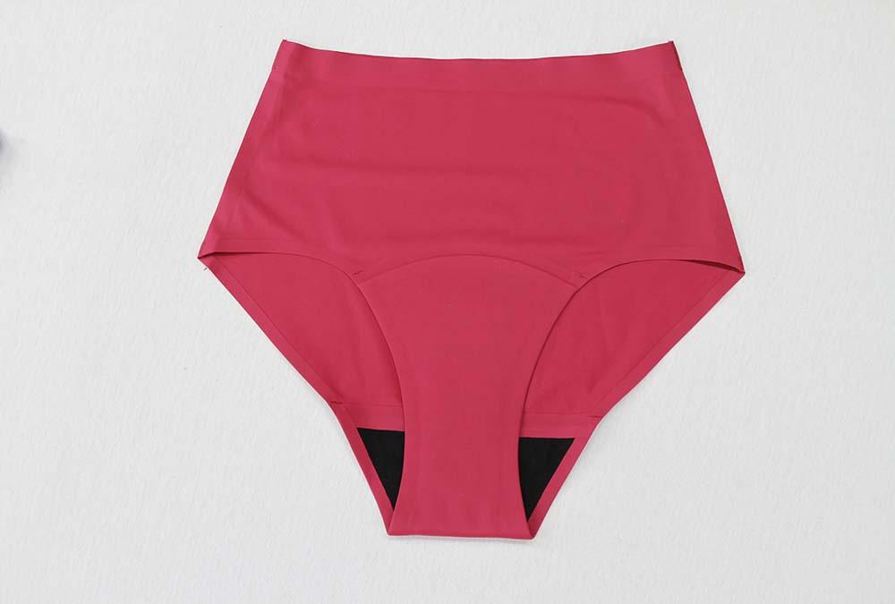 Bonded Period Panty